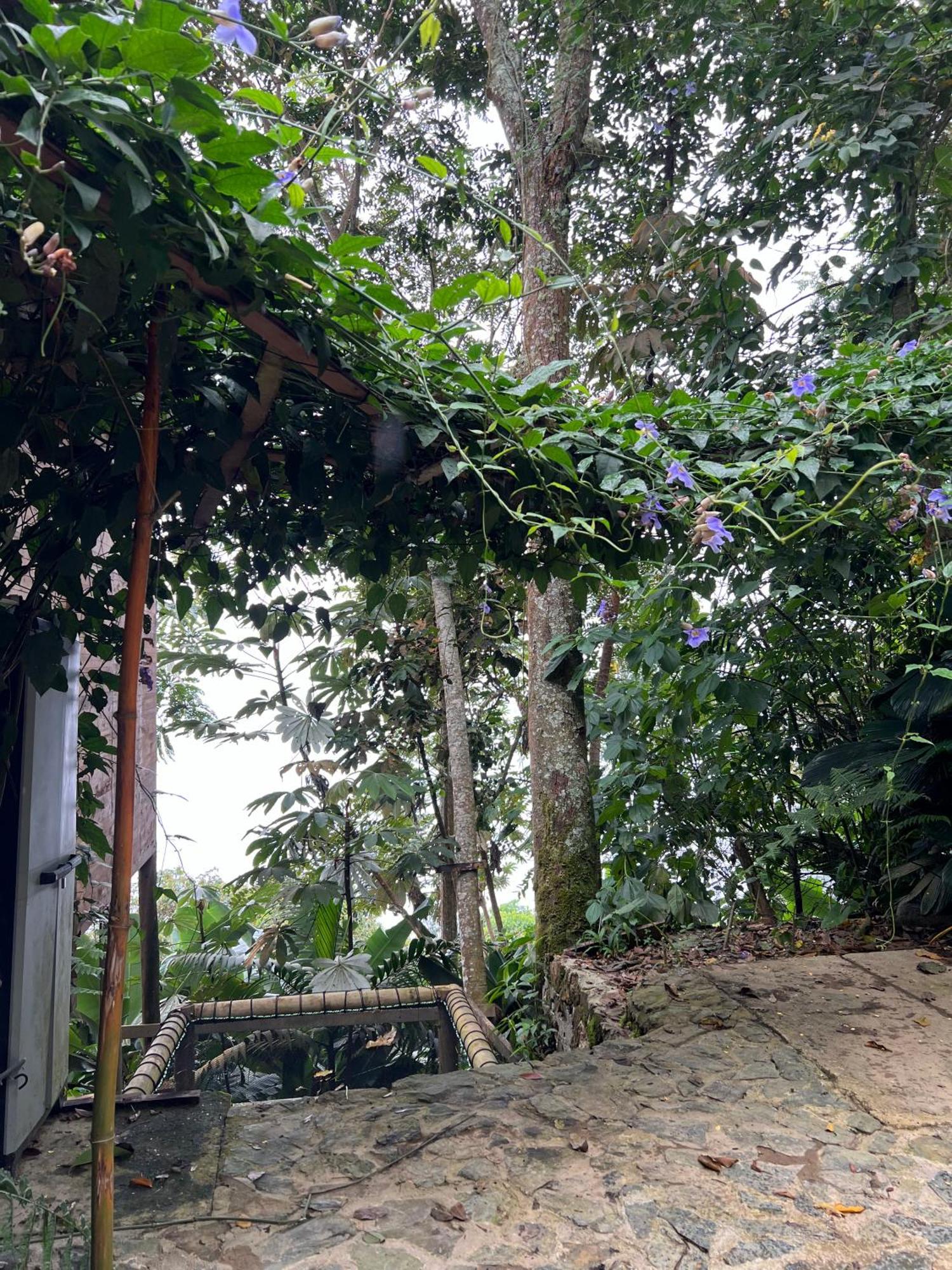 Luxury Tiny House - Minca别墅 外观 照片
